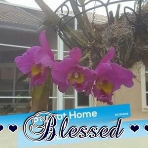 Meet your Posher, Sonia